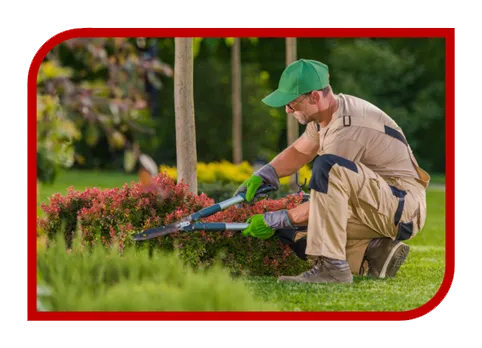 Criação de Site Profissional para Jardineiro