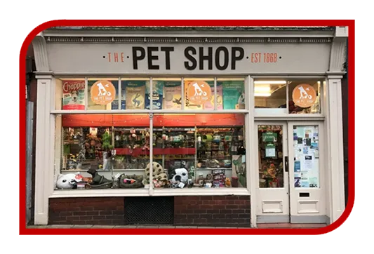 Criação de Site Profissional para Petshop